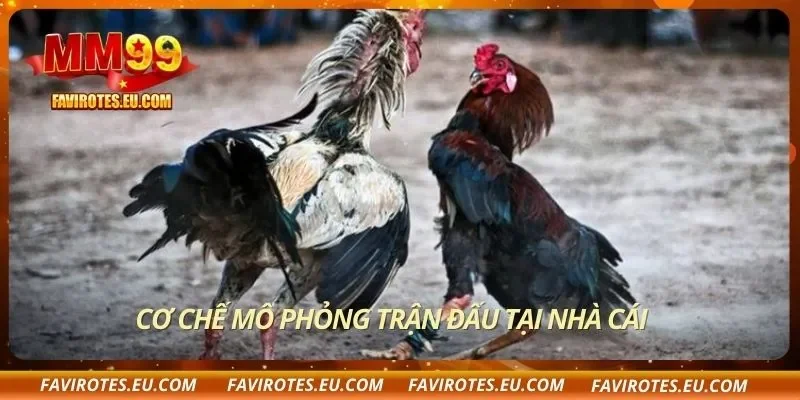 Cơ chế mô phỏng trận đấu tại nhà cái