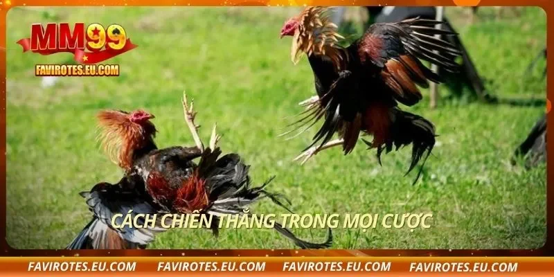 Cách chiến thắng trong mọi cược